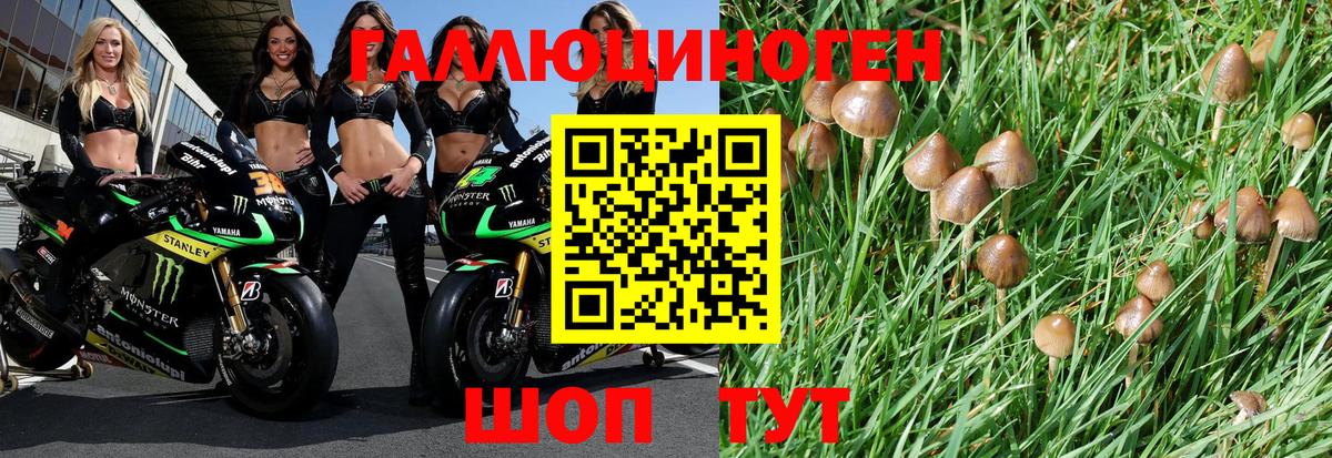 даркнет сайт  Галлюциногенные грибы Psilocybe  Вход с VPN  Галлюциногенные грибы Cubensis  Корсаков 