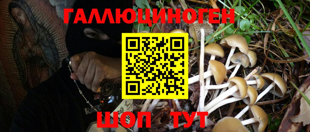 Галлюциногенные грибы Magic Shrooms Корсаков